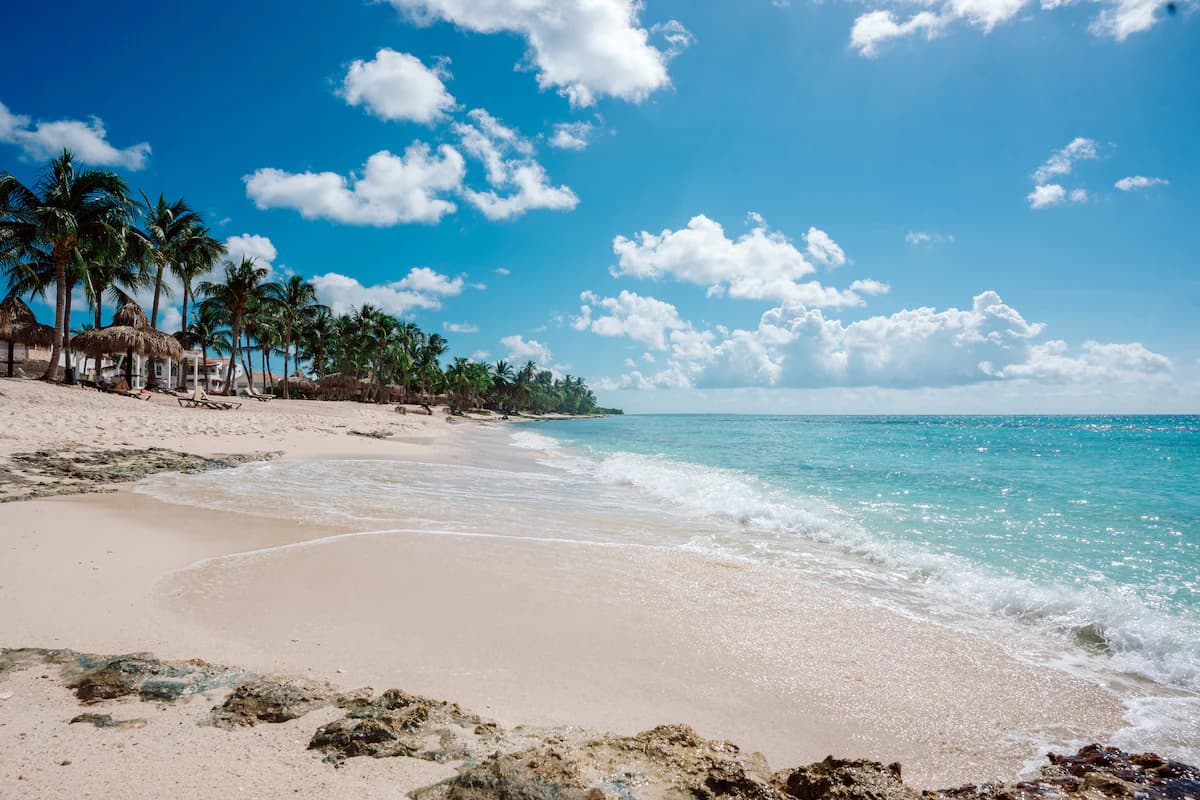 White sand beach with palm trees in Dominicus, Dominican Republic